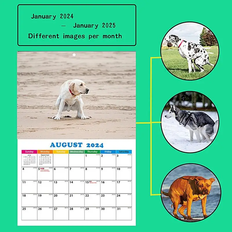 Dogs Pooping Calendar 2024 Funny Animal Wall Calendar Dogs Pooping In Beautiful Places Hangable Monthly Wall Calendars