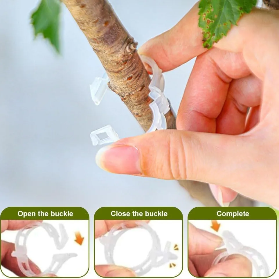 50/30PC Plant Clips Supports Reusable Plastic Connects Fixing Vine Tomato Stem Grafting Vegetable Plants Orchard and Garden Tool