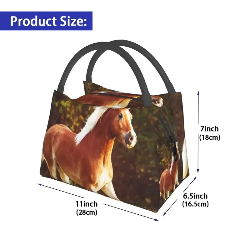 Haflinger Horse Thermal Insulated Lunch Bags Women Animal Resuable Lunch Container Camping Travel Multifunction Meal Food Box