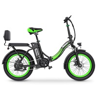 2025 New Design Urban Folding Electric Bicycle Hidoes C1 750W 48V 20 Inch Single Speed Electric City Bike