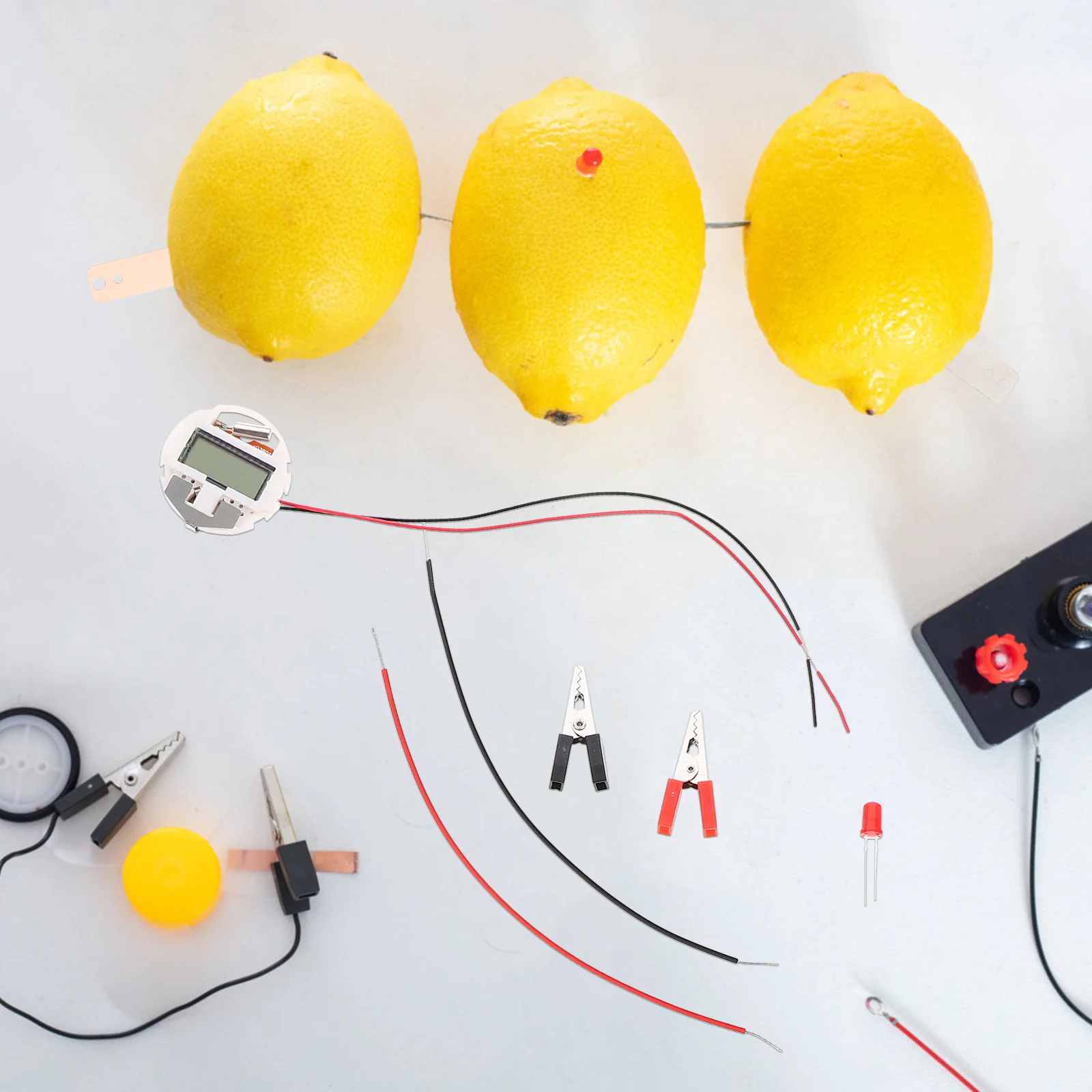 

2 set Fruit Experiment Kit Generation Science Physics Learning Set Diy Electronics Project