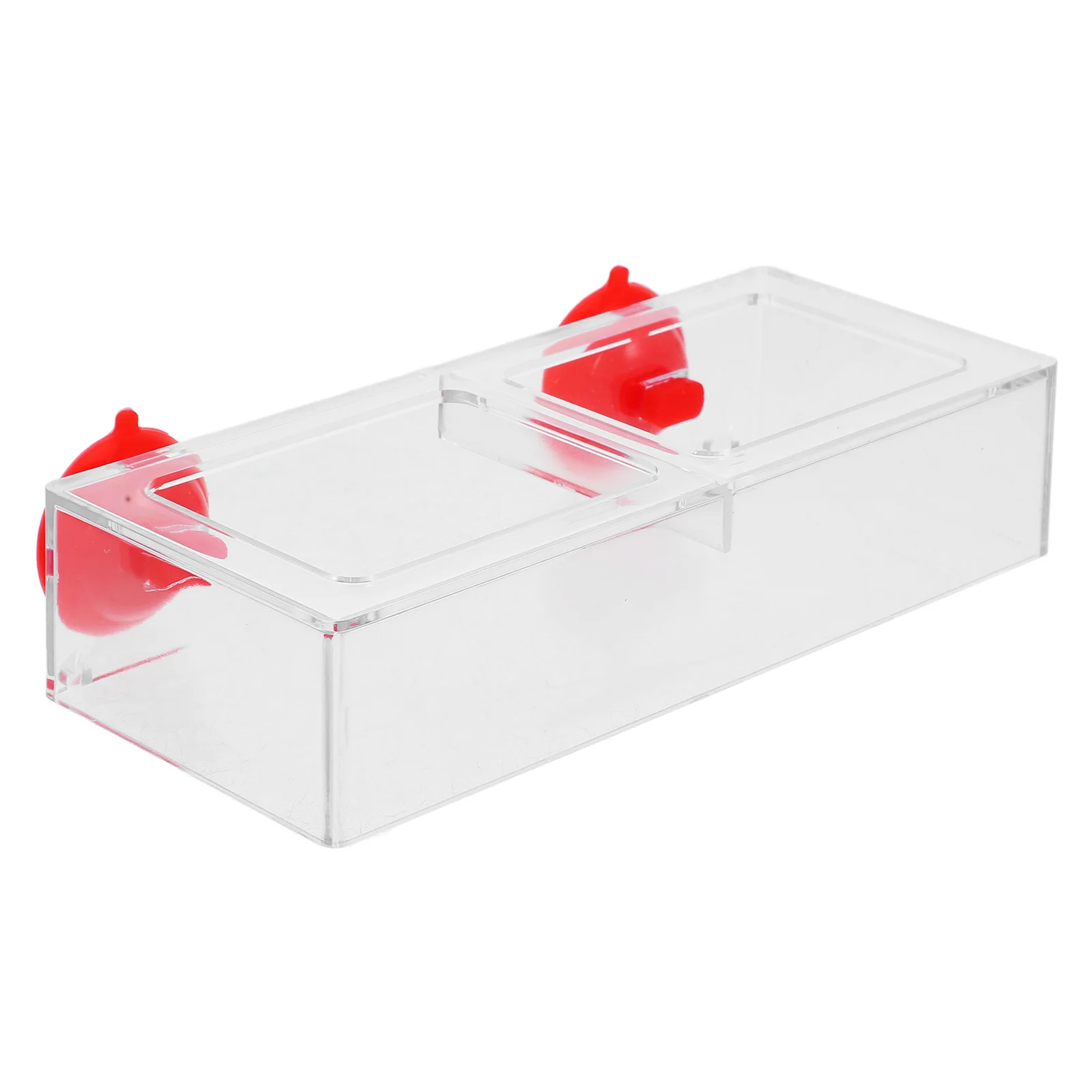 

Aquarium Feeding Ring Fish Tank Feeder Transparent Acrylic Food Dish Easy Attach Suction Cup for Betta Goldfish Shrimp Tank