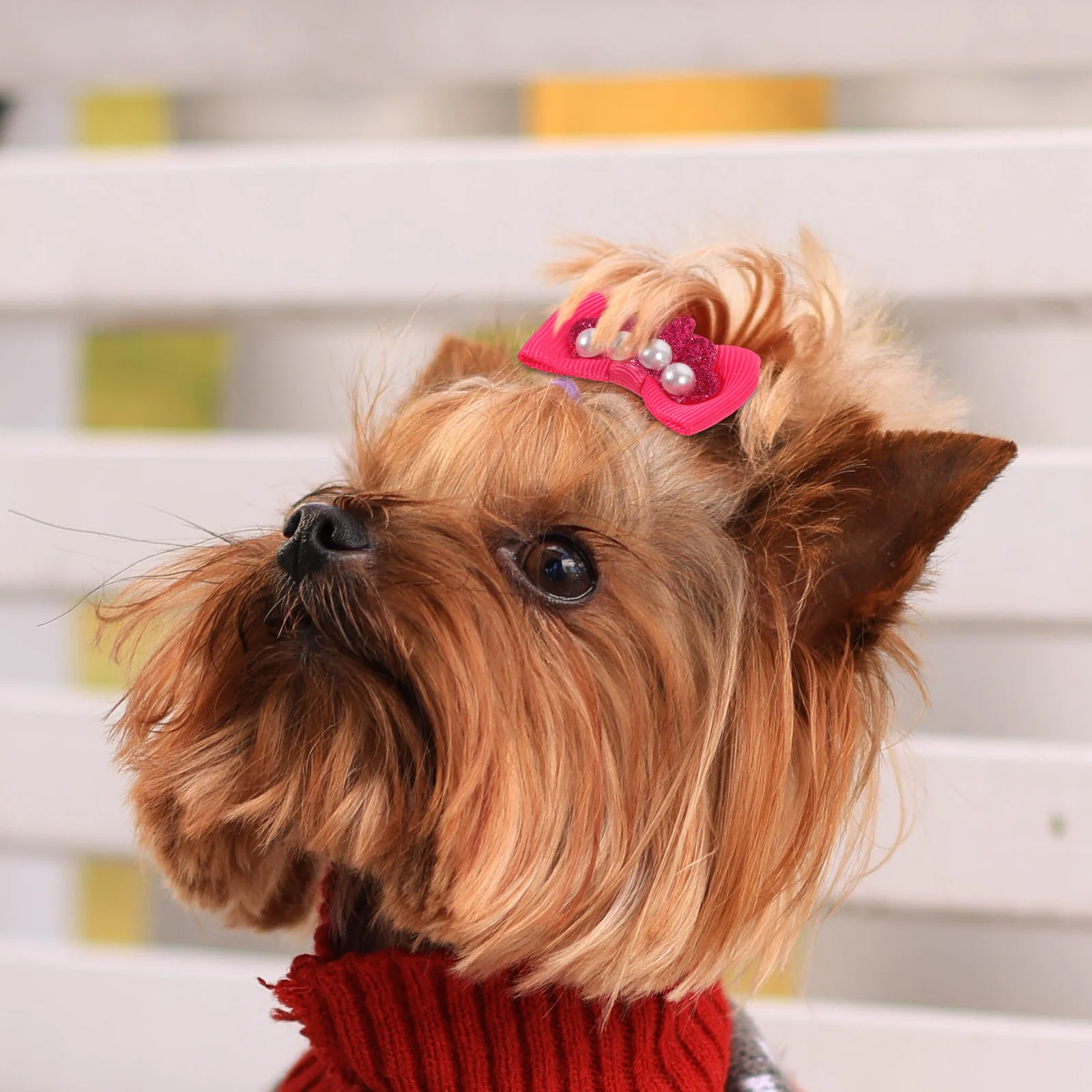 

10pcs Pet Hair Bows Dog Accessories Cute for Small Medium Dogs Puppy Cat Decorative Party Photo Prop Rubber Band