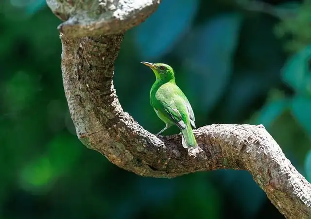 Siyi Ethernet To Hd…