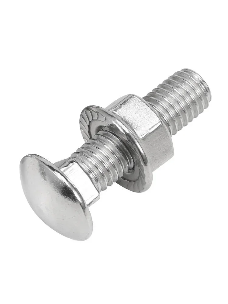M4 M5 M6 M8 M10 M12 A2-70 304 Stainless Steel Truss Round Head Square Neck Carriage Screw Coach Bolt Flange Nut Set