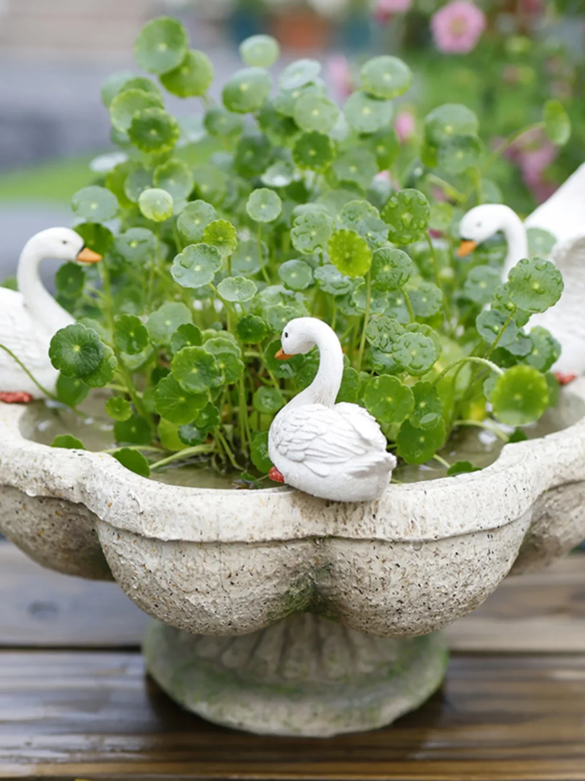 Creative hydroponic flower pot non-porous copper coin grass water raising swan balcony decoration arrangement courtyard garden