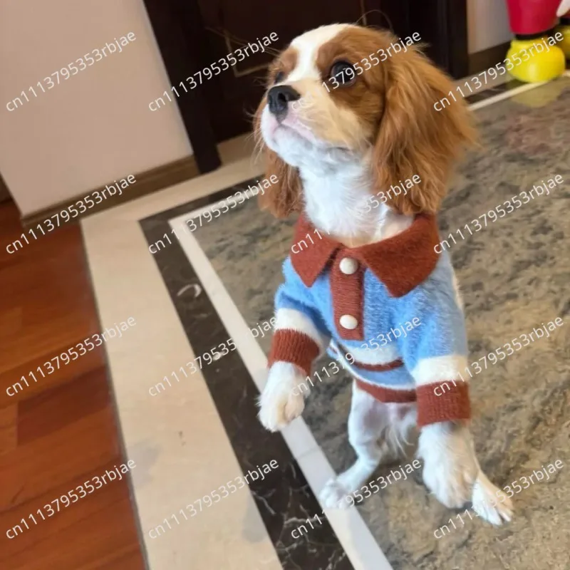 Striped Knit Pet Sweater for Small Dogs and Cats, Warm Anti-Shedding Pullover for Teddy Bichon Puppy Autumn Winter Clothing