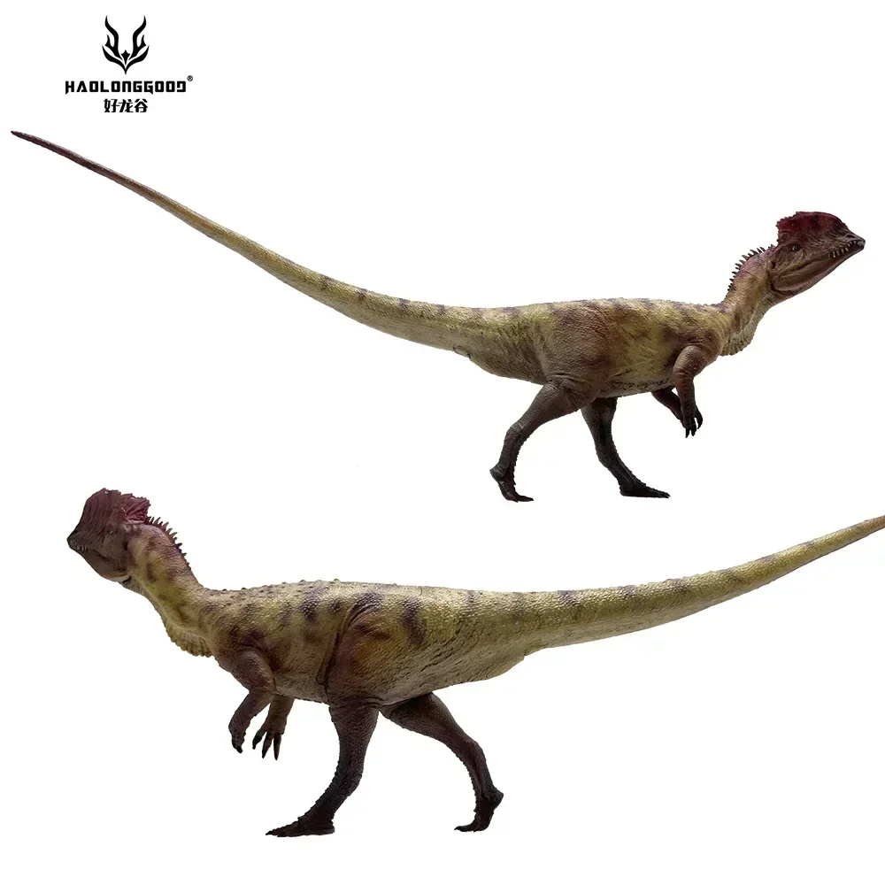 2 unids/set 1:35 HAOLONGGOOD Dilophosaurus dinosaurio juguete prechenio modelo Animal