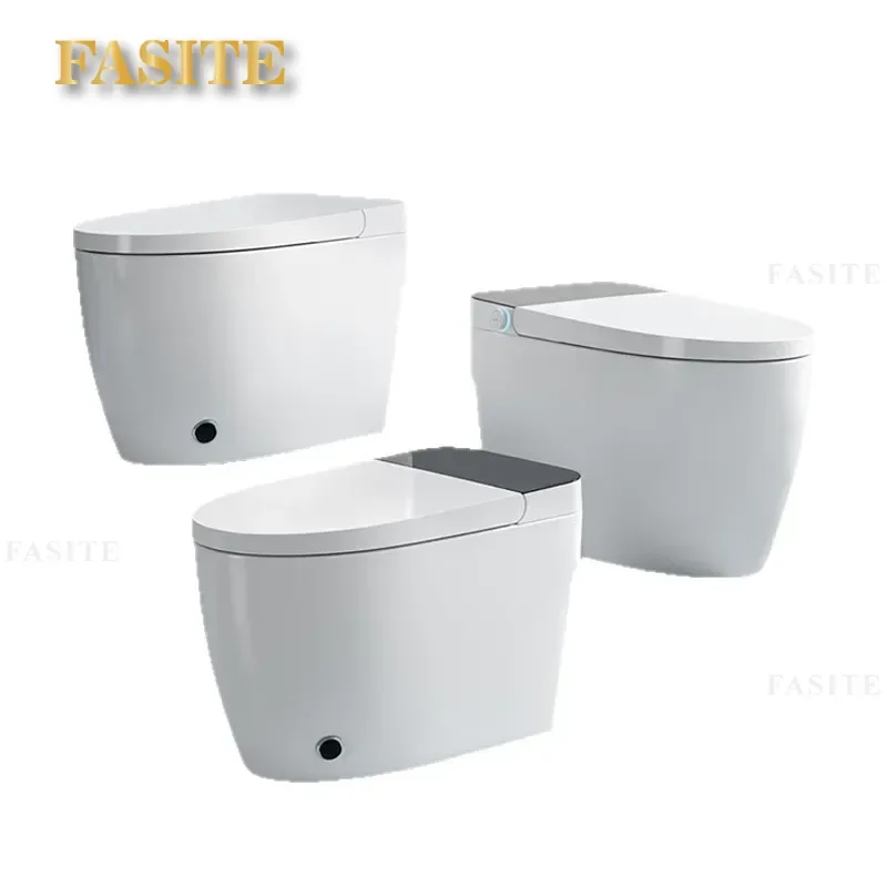 For Non-Smart Toilet Built-in Foam Shield Flushing Tank No Water Pressure Limit Room Temperature Wash Bathroom Fixture