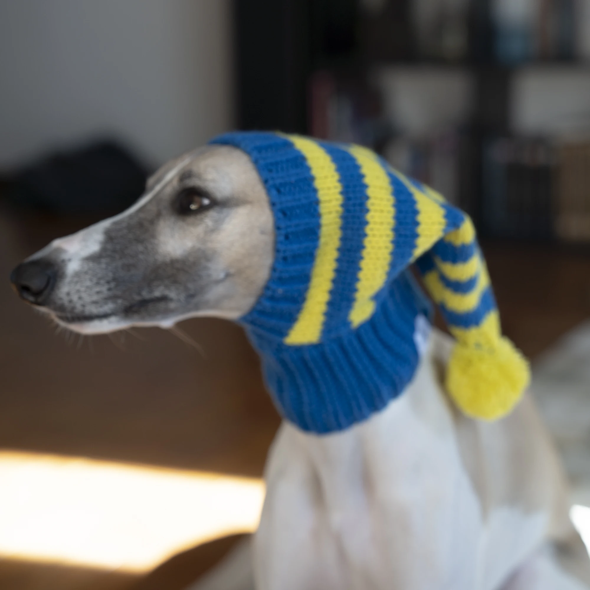 Whippet-Iggy Warm Knitted Pet Hat, Rayas, Galgo italiano, Invierno