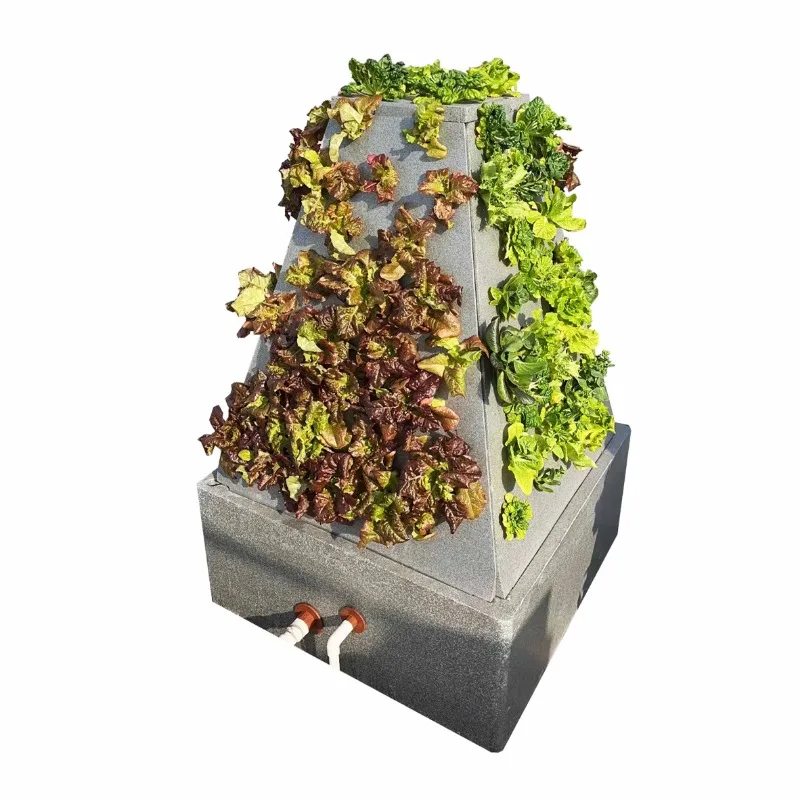 

Новая аэропоника пирамиды для выращивания овощей