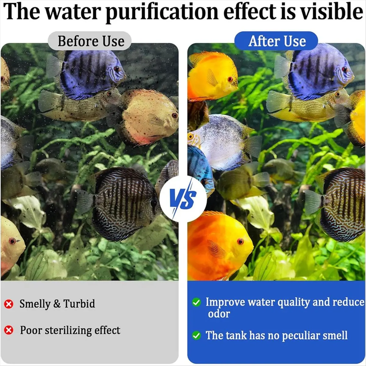 A36R 12 Packs Large…