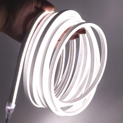 Tira de neón Flexible para el hogar, señal de neón, DC 12V, 2835, 120LED/M, Blanco/azul/Rosa/amarillo/verde, 1m, 2m, 5m