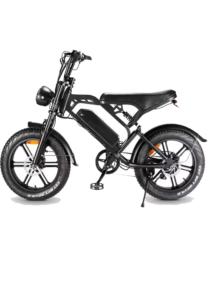 Adults Electric Bike  250W 750W 1000W  48V15AH Removable battery Fat Tire 20