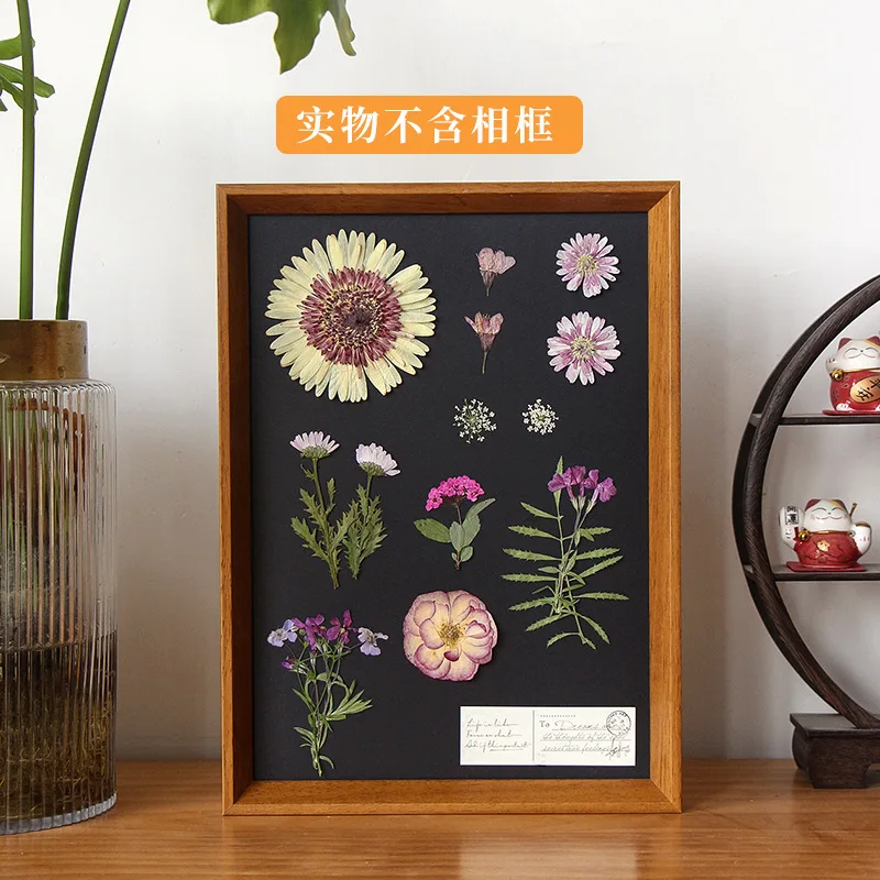 Children's Dried Flower Embossed Decorative Plant Specimen Painting Petals Material Package Handmade DIY Photo Frame Glue Embossed Flower Table Lamp Flower Material