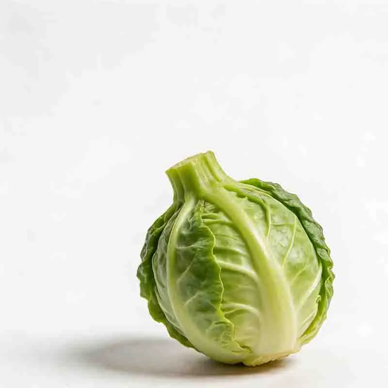 T-Motor Short Shaft…