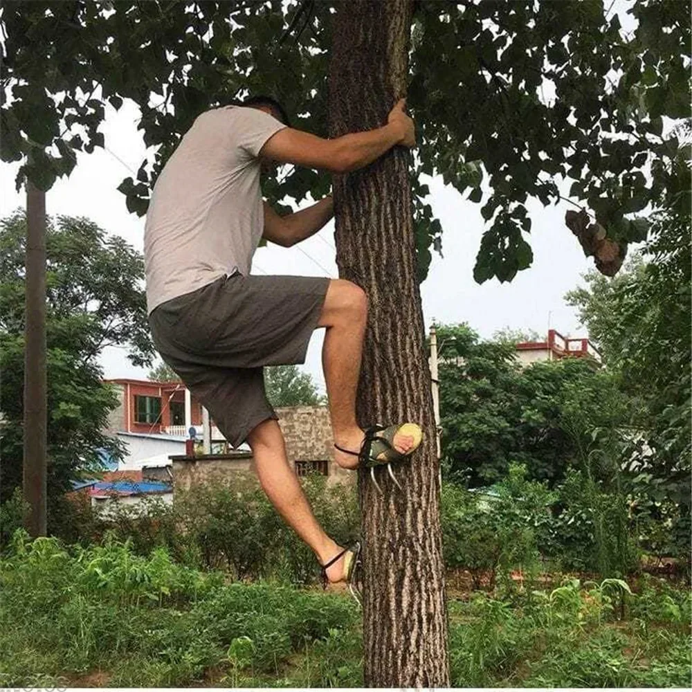 Tree Climbing Tool Pole Climbing Spikes For Hunting Shoes Tree Steel Climbing Simple Picking Observation Fruit Tool Accessories