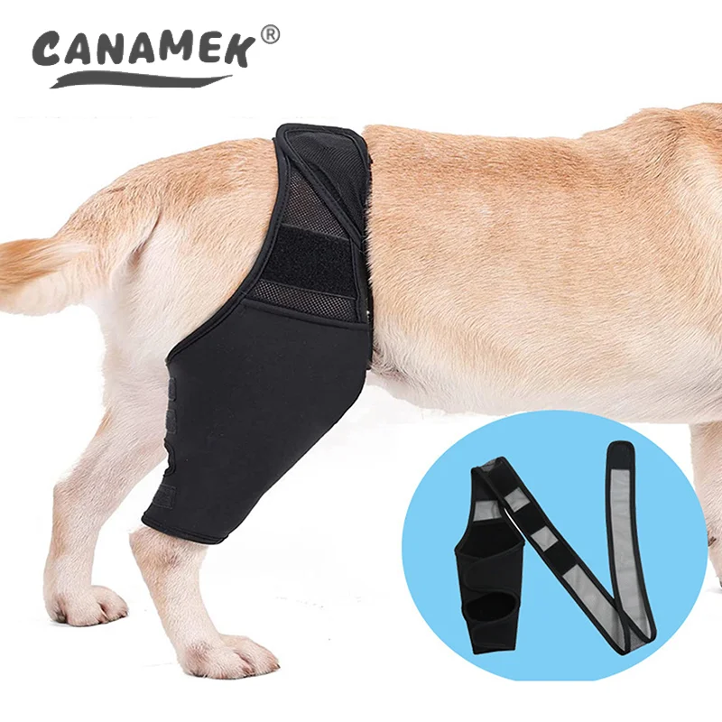 1Pc Dog Knee Pads Injury Recovery Fixed Support Brace Pet Protector Pain Relief Feet Cover Leg Joint Wrap Support Pet Recover