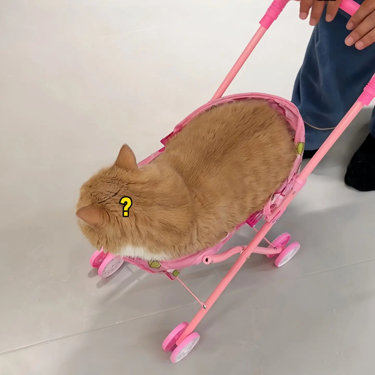 ZHAYA Foldable Pet Stroller for Cat Dog Outdoor Travel Lightweight Pushchair with Safety Leash Photo Prop for Small Animals