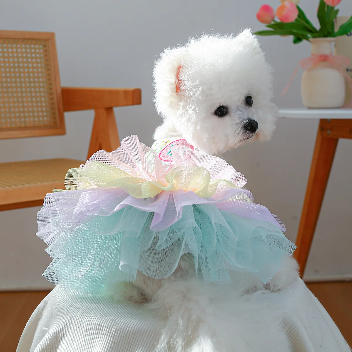 petcircle-ropa-para-perros-pequenos-y-medianos-suministros-para-mascotas-ropa-para-perros-falda-con-diseno-de-huevo-de-pascua