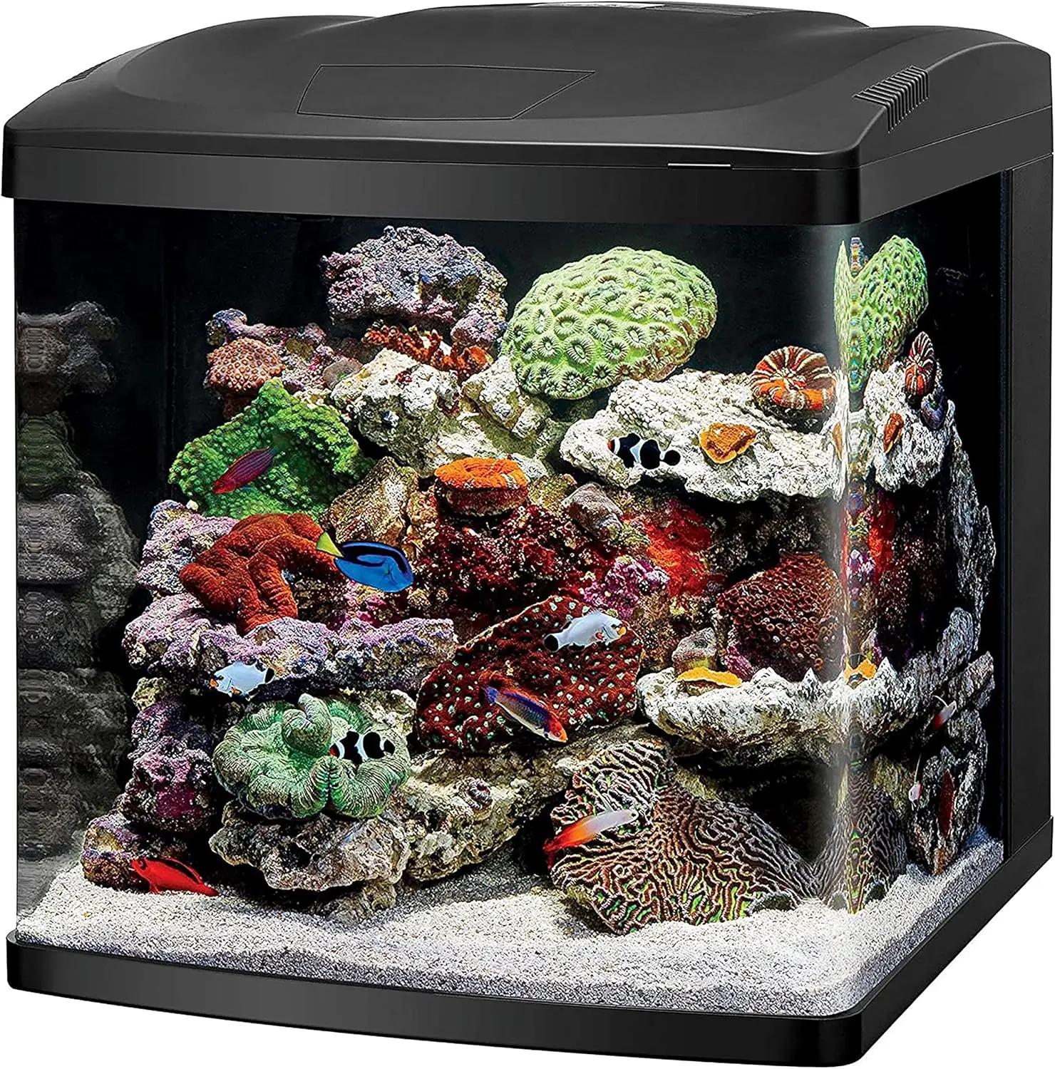 LED BioCube Aquarium Fish Tank Kit Gallon