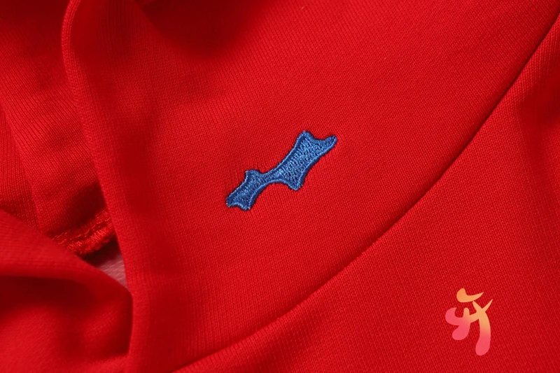 الأسهم للجنسين Skylrk هودي فارغة بلون فضفاض هوديي المطرزة شعار الشتاء الرجال النساء موضة الشارع الشهير القطن بلوزات