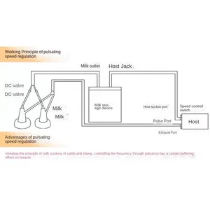 8 en çok satılan ordenhadeira keçisi - №2