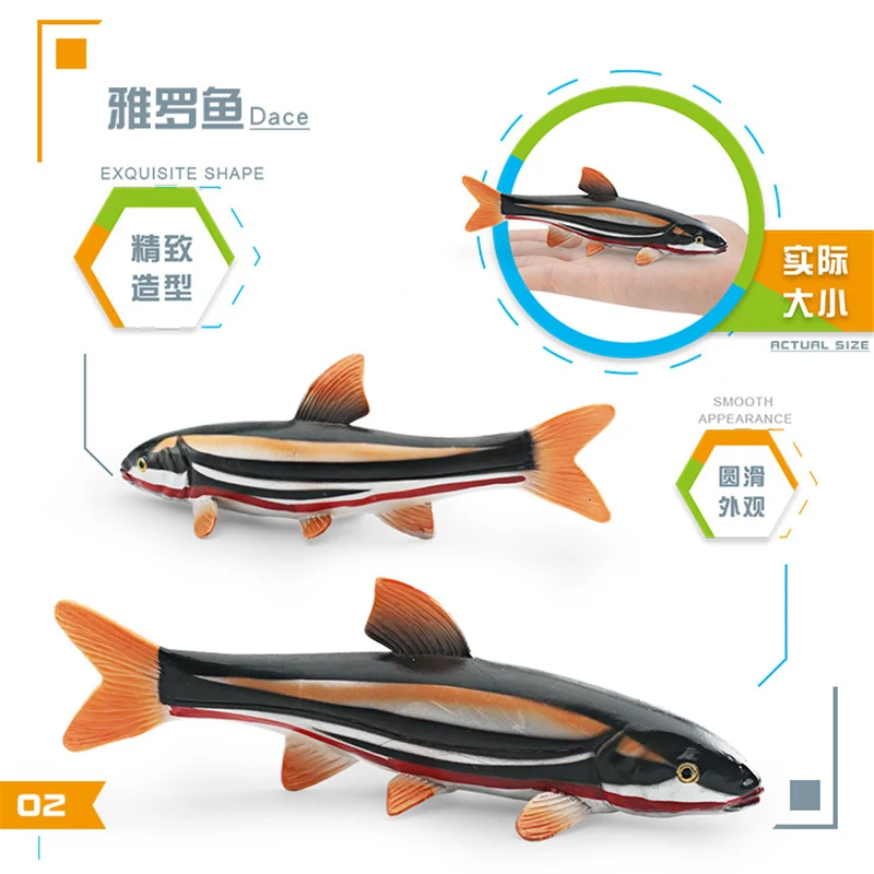 Simulation Marine Animal Cobitis Sinensis Dace Salvelinus Leucomaenis Action Figures Salmon Piranha Miniacture Educational Toys
