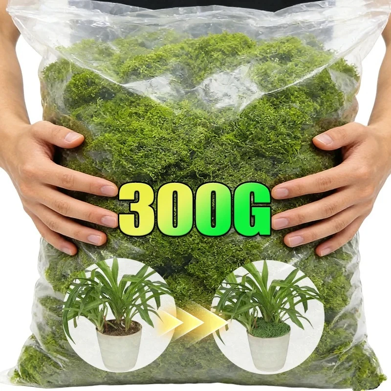 Sphagnum Moss Dry - Artificial Green Plants Eternal Life Moss