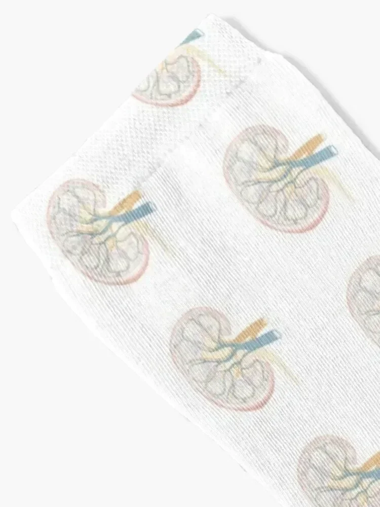 Nephrology Artwork Socks loose sport cotton cartoon Socks Ladies Men's