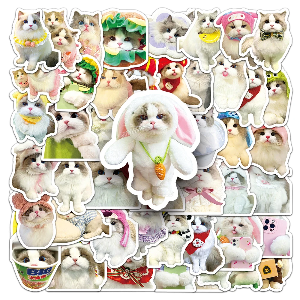 

10/30/50pcs Ins Style Ragdoll Cat Stickers Cute Kitten Decoration Decals DIY Water Bottle Skateboard Phone Decal Sticker Gifts