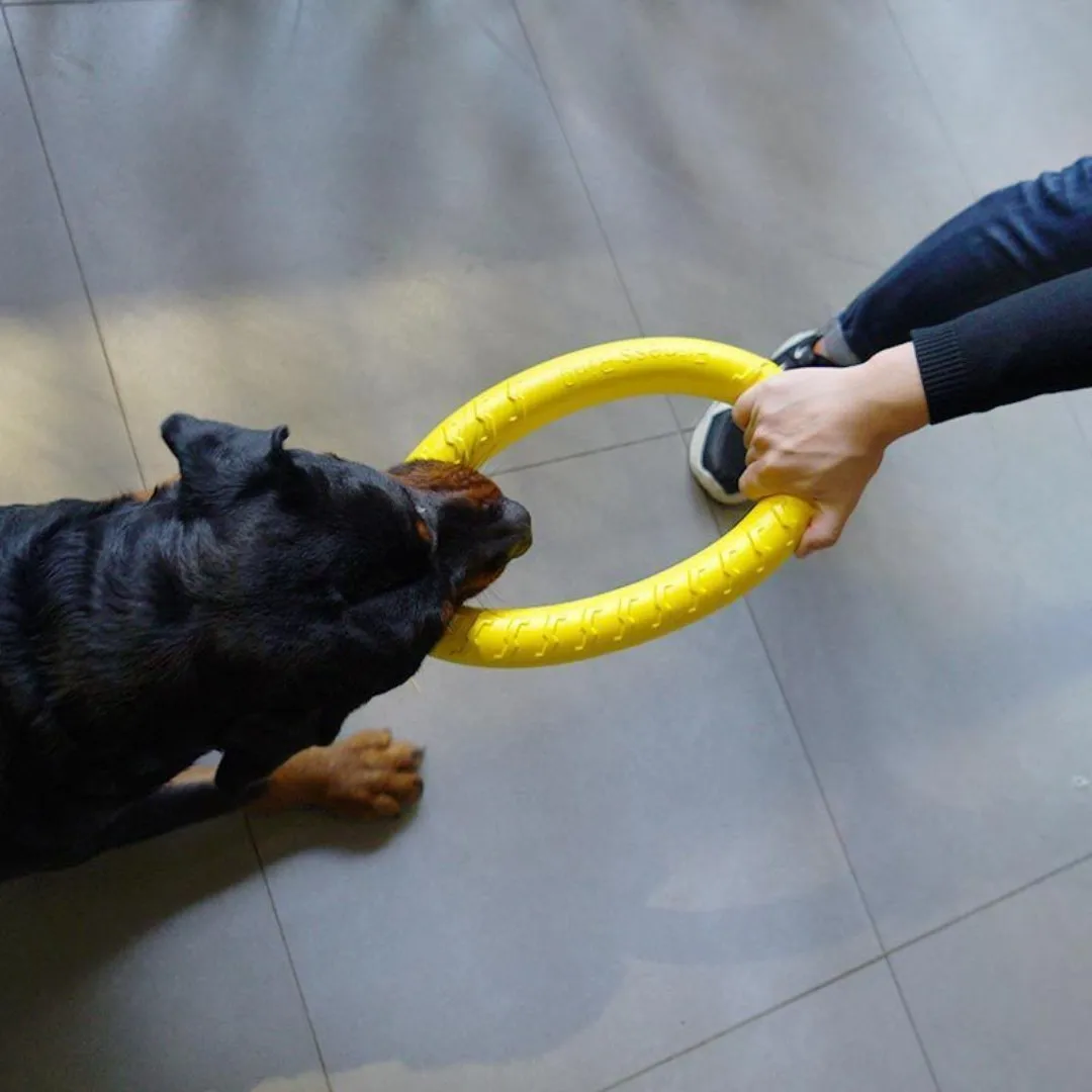 Hondenringspeelgoed Onverwoestbaar kauwen Vliegen Drijvend Trainingsgereedschap Apportering voor kleine, middelgrote en grote honden Gooien Vangen Vliegen