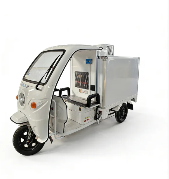 Refrigerated Van Electric Tricycle Delivery Cargo Cold Chain Ice Delivery Freezer Tricycle with New Compressor