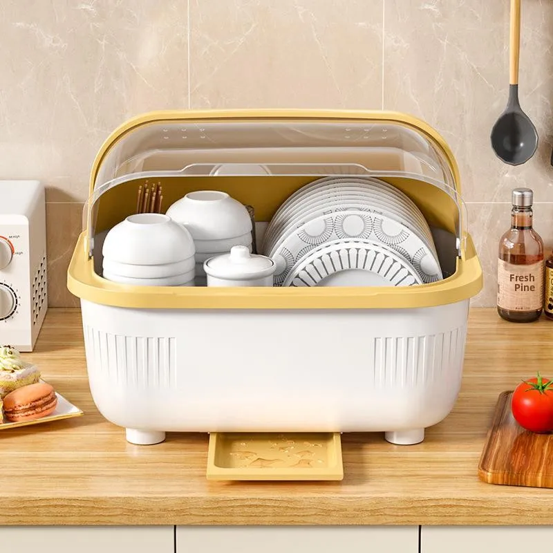 Small Kitchen Storage Rack Dish Plate Bowl Dishwasher Drain Rack Cabinet Mounted Plastic Kitchen Storage Organizer
