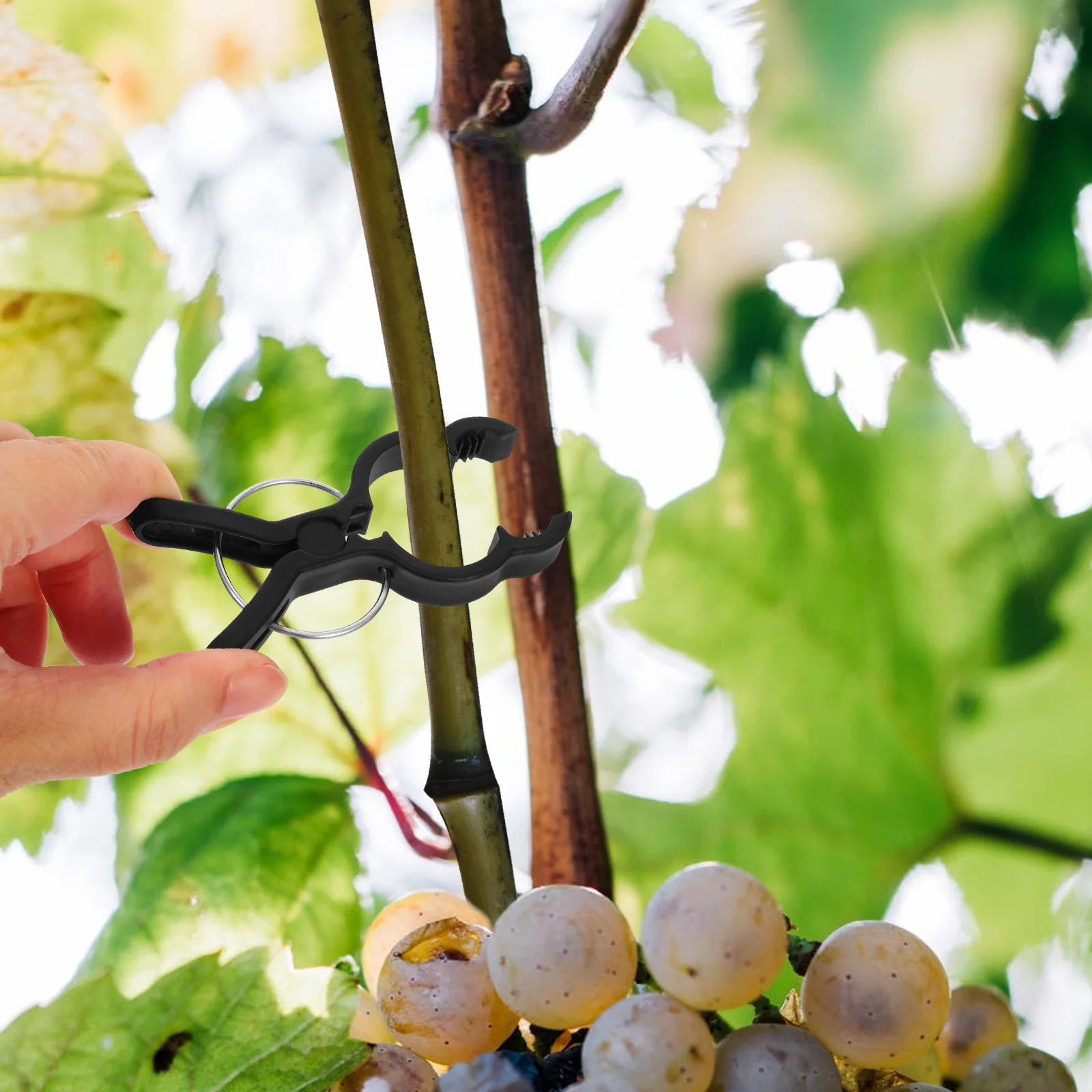 

20Pcs Durable Vine Clips for Plants Tomatoes Easy Use Garden Trellis Support Maintenance Plant Clip Trellis Clips