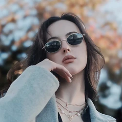 ZENOTTIC-Retro Small Polygon Polarized Sunglasses for Men and Women, Anti-Glare Sun Glasses, UV400 Goggles, Driving Eyewear