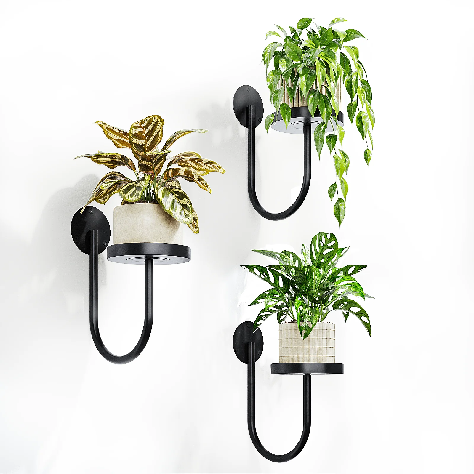 

Bamworld Black Wall Plant HolderPlants Plant Hanger Indoor Window Hanger Window Shelves Planters Hanging Plant Decor 3pcs