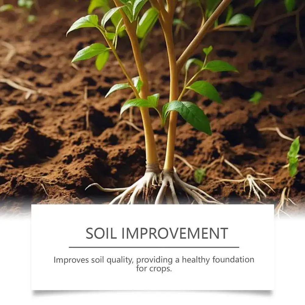 قطرات تغذية النباتات، الأسمدة السائلة المحددة للنباتات الخضراء الداخلية، قطرات تقوية الجذر والصيانة لتعزيز الجذر