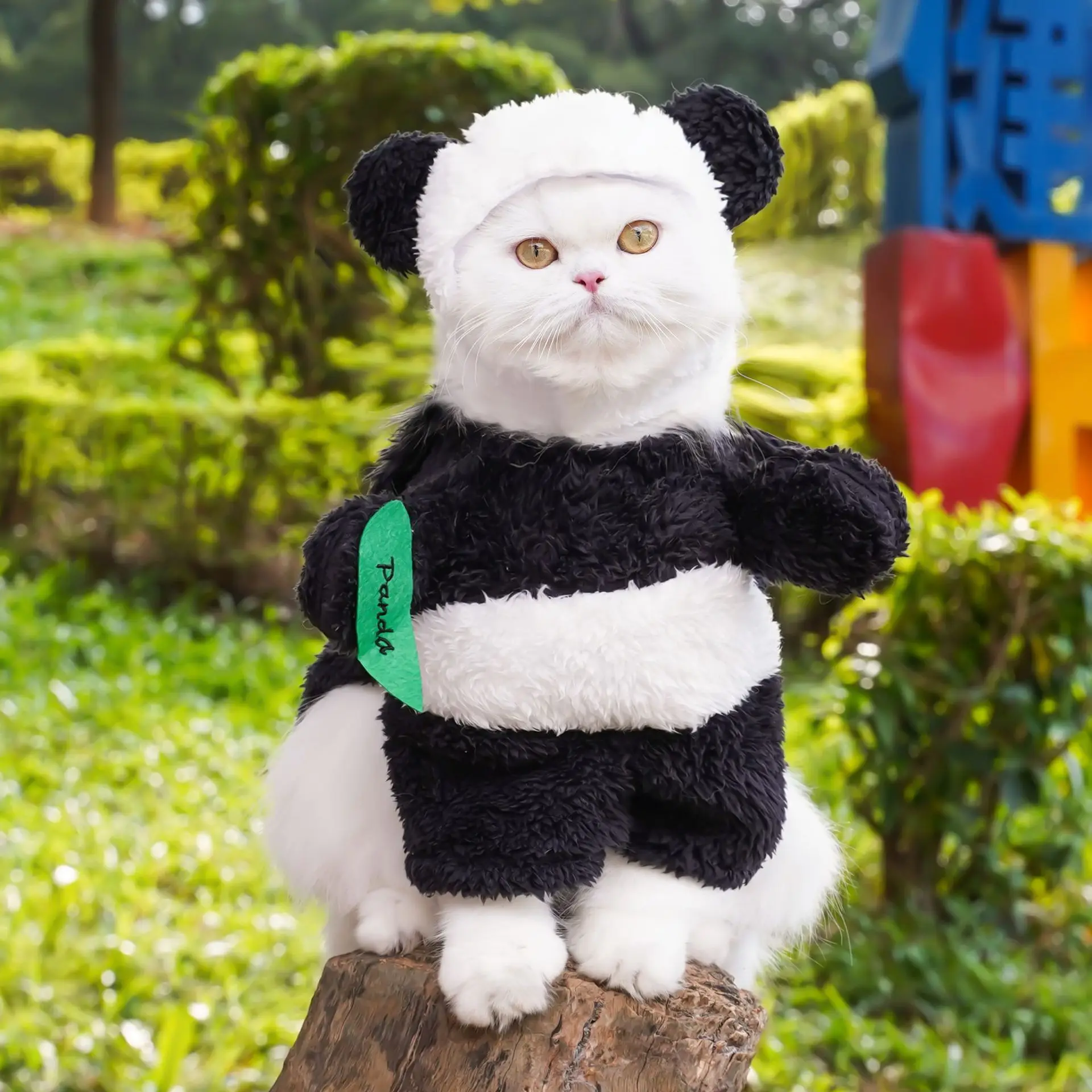 Cute Panda Pet Cat Costume With Hat Warm Pet Clothes for Small Dogs and Cats Coat Jacket Puppy Funny Cat Clothes