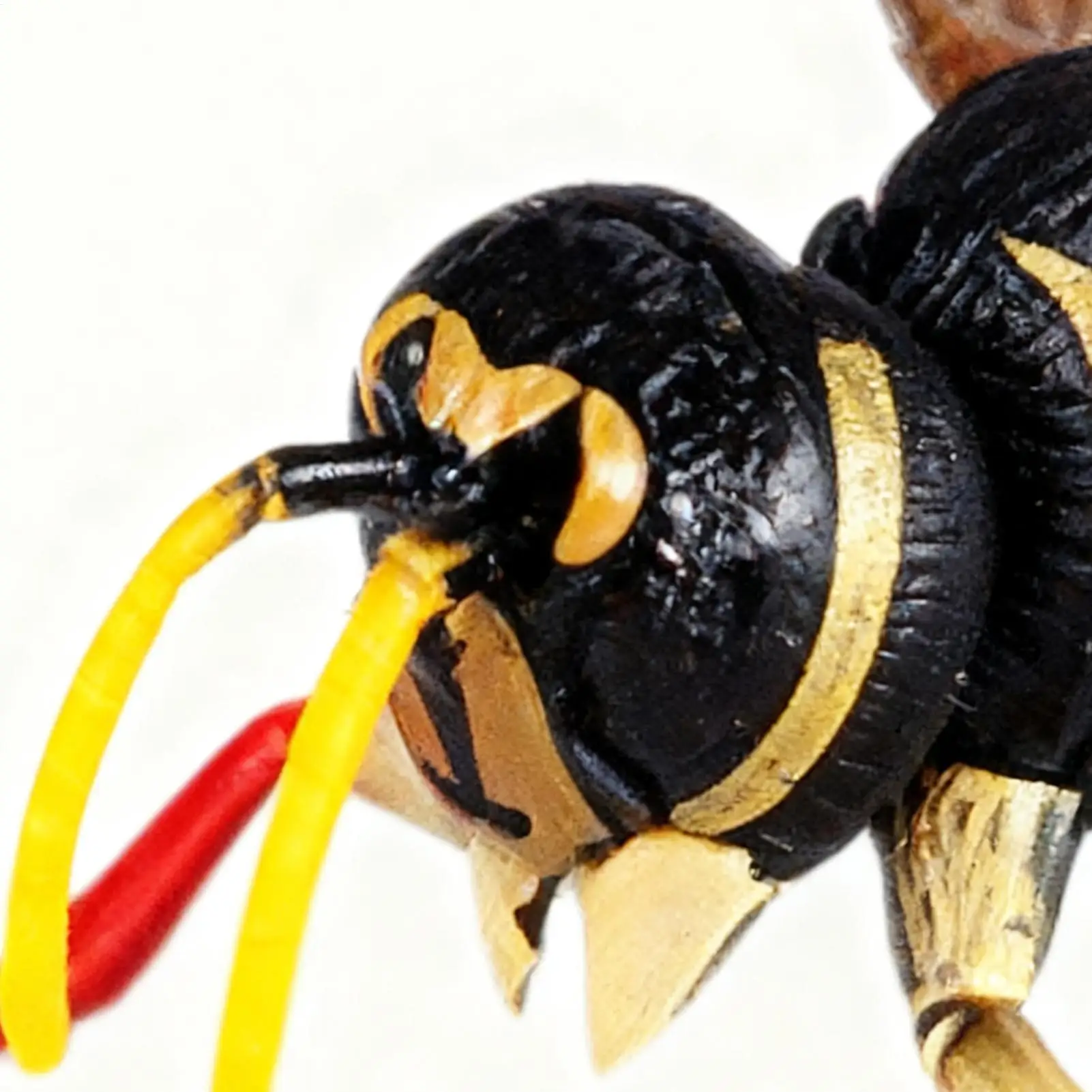 Juegos de construcción de juguetes, juego educativo de avispas de 27 piezas, juguetes de construcción para niños de 3 años, niños y niñas, aula preescolar para guardería