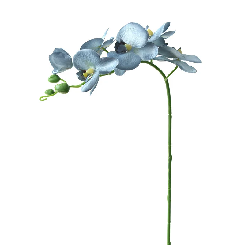 70 ΡΠΌ 6 Π³ΠΎΠ»ΠΎΠ²ΠΎΠΊ ΠΈΡΠΊΡΡΡΡΠ²Π΅Π½Π½ΡΠ΅ ΡΠ²Π΅ΡΠΎΡΠ½ΡΠ΅ Π²Π΅ΡΠΊΠΈ ΡΠ°Π»Π΅Π½ΠΎΠΏΡΠΈΡΠ° ΡΠ΅Π»ΠΊΠΎΠ²ΡΠ΅ ΠΈΡΠΊΡΡΡΡΠ²Π΅Π½Π½ΡΠ΅ ΡΡΠ΅Π±Π»ΠΈ ΠΎΡΡ
ΠΈΠ΄Π΅ΠΈ Π΄Π»Ρ ΡΠ²Π΅ΡΠΎΡΠ½ΠΎΠΉ ΠΊΠΎΠΌΠΏΠΎΠ·ΠΈΡΠΈΠΈ ΡΠ²Π°Π΄Π΅Π±Π½Π°Ρ Π²Π΅ΡΠ΅ΡΠΈΠ½ΠΊΠ° ΡΠΊΡΠ°ΡΠ΅Π½ΠΈΠ΅ Π΄ΠΎΠΌΠ° 70 ΡΠΌ 6 Π³ΠΎΠ»ΠΎΠ²ΠΎΠΊ ΠΈΡΠΊΡΡΡΡΠ²Π΅Π½Π½ΡΠ΅ ΡΠ²Π΅ΡΠΎΡΠ½ΡΠ΅ Π²Π΅ΡΠΊΠΈ ΡΠ°Π»Π΅Π½ΠΎΠΏΡΠΈΡΠ° ΡΠ΅Π»ΠΊΠΎΠ²ΡΠ΅ ΠΈΡΠΊΡΡΡΡΠ²Π΅Π½Π½ΡΠ΅ ΡΡΠ΅Π±Π»ΠΈ ΠΎΡΡ
ΠΈΠ΄Π΅ΠΈ Π΄Π»Ρ ΡΠ²Π΅ΡΠΎΡΠ½ΠΎΠΉ ΠΊΠΎΠΌΠΏΠΎΠ·ΠΈΡΠΈΠΈ ΡΠ²Π°Π΄Π΅Π±Π½Π°Ρ Π²Π΅ΡΠ΅ΡΠΈΠ½ΠΊΠ° ΡΠΊΡΠ°ΡΠ΅Π½ΠΈΠ΅ Π΄ΠΎΠΌΠ°