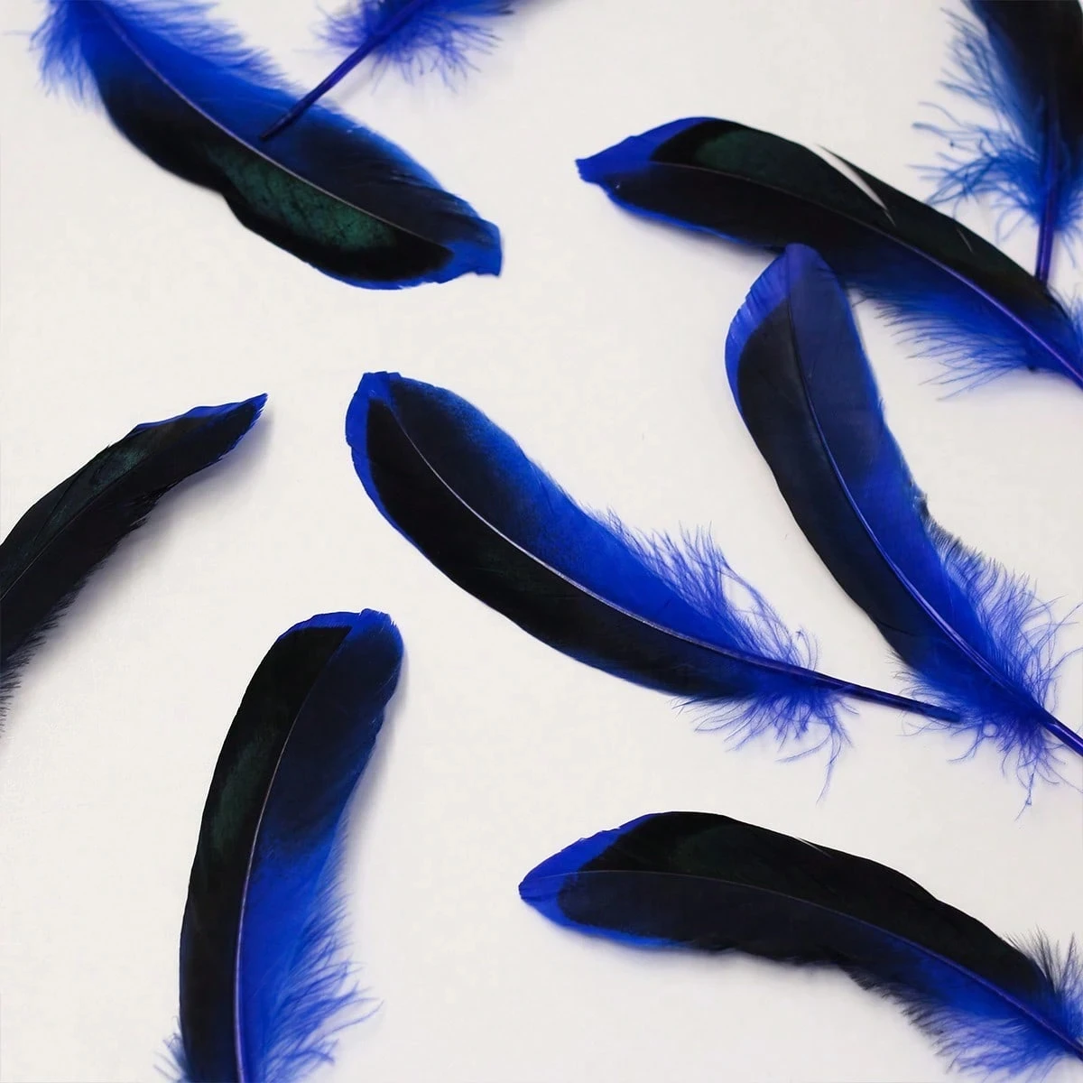 ขนเป็ดธรรมชาติ 100 ชิ้น ขนาด 4-6 นิ้ว สีแดง น้ำเงิน ขาว ขนตกแต่งสำหรับชุดแฟนซี งานแต่งงาน งานคริสต์มาส งานปาร์ตี้