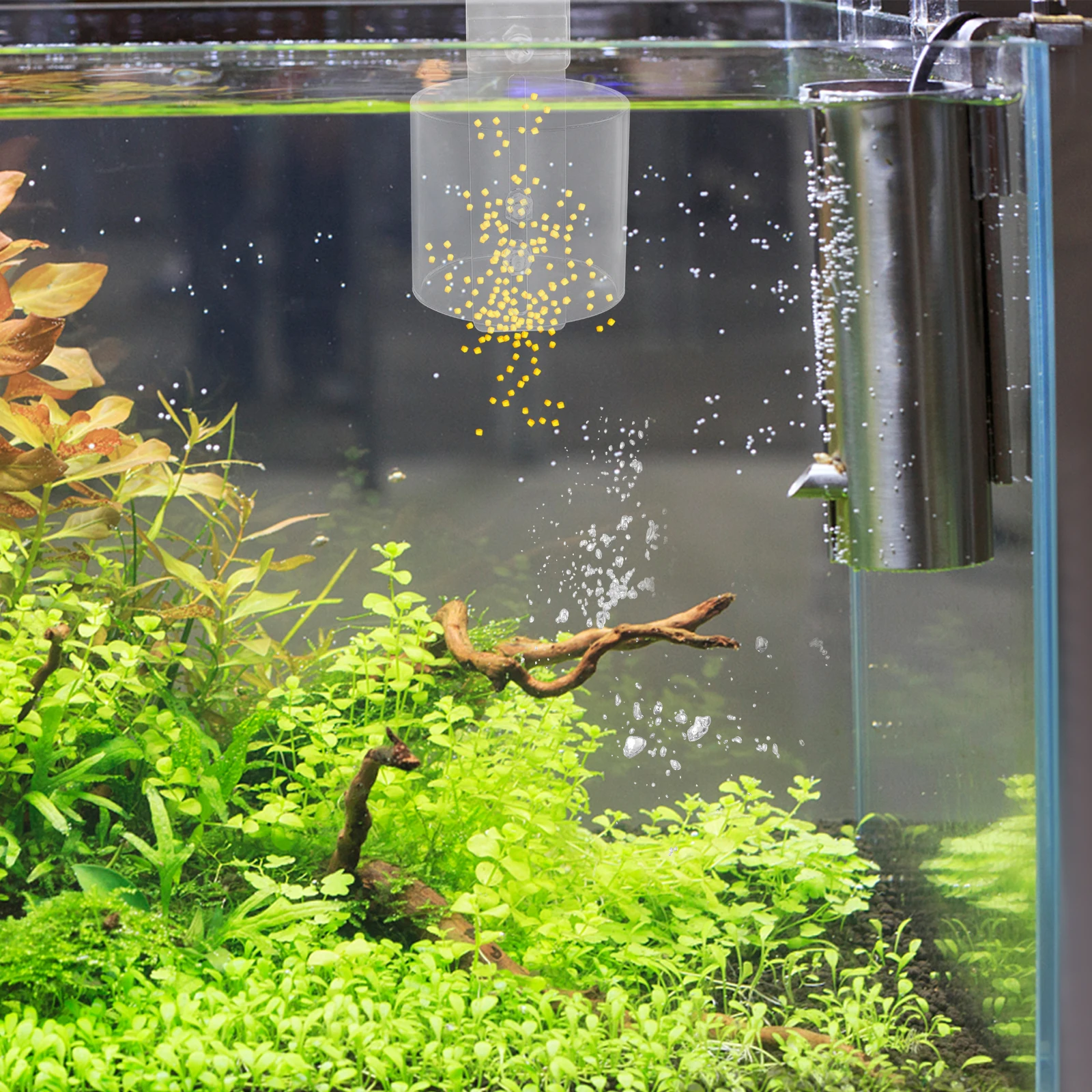 

Fish Feeder Cup Circle 1PC Transparent Aquarium Feeding Tool Freshwater Tank Dispenser Anti Float Design Sturdy Acrylic Fish