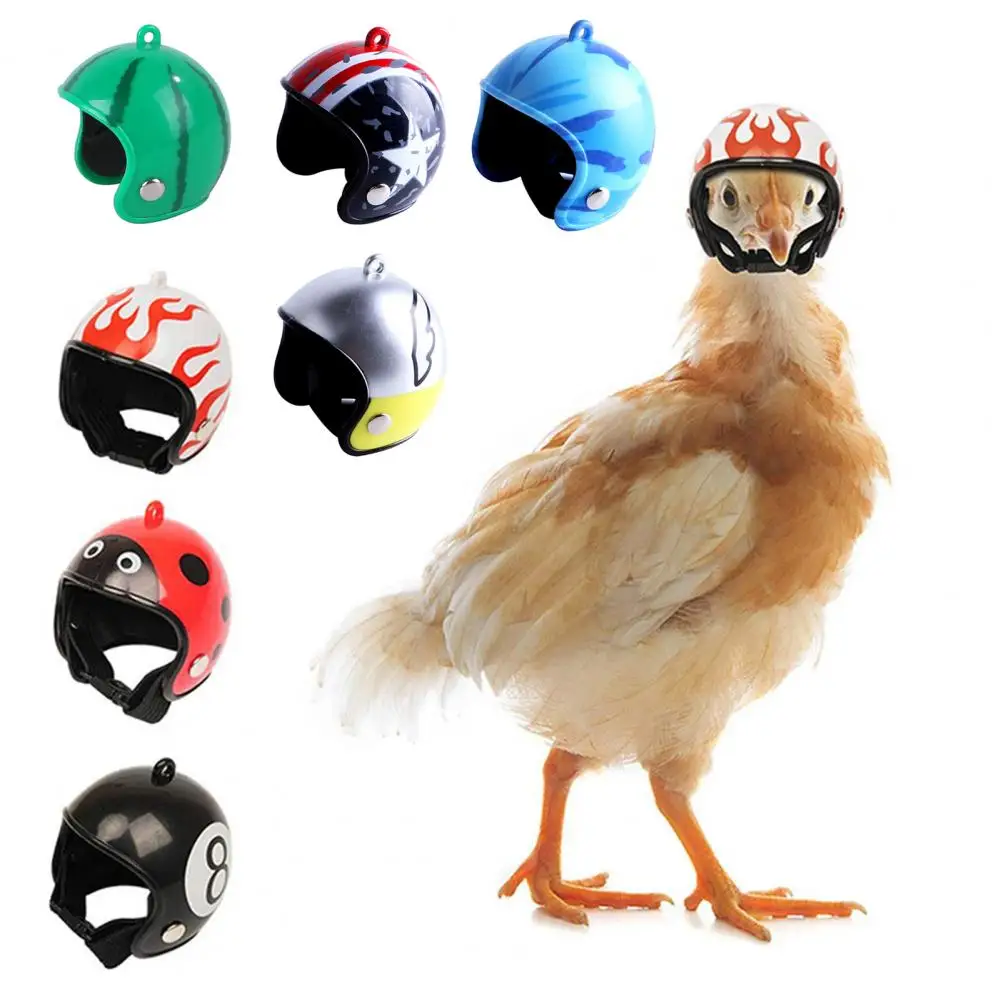 Chicken Helmet Funny Parrot Bird Hat Headwear Small Hard Hen Protective Helmet For Chickens Birds Parakeet