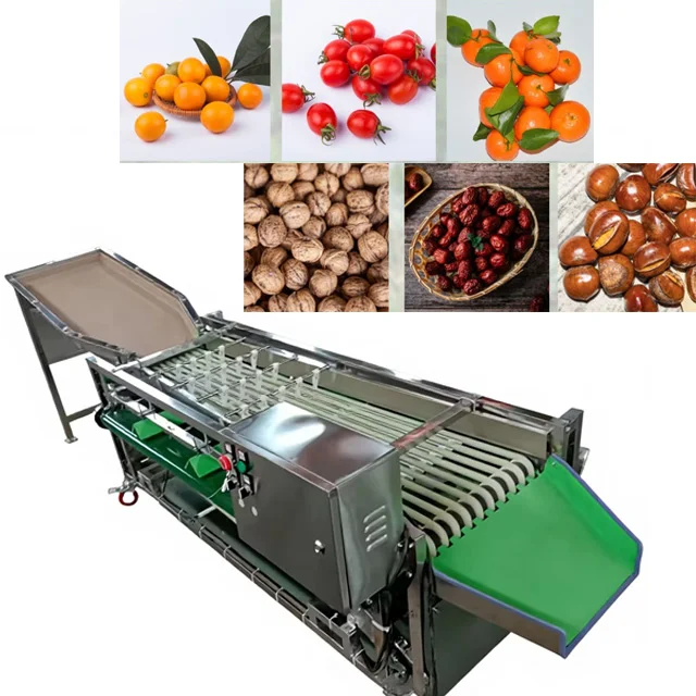 

-kk Electric Multifunctional Fruit Vegetable Grading & Grinding Motor 304 Stainless Steel 2000kg/h Capacity Industrial Use