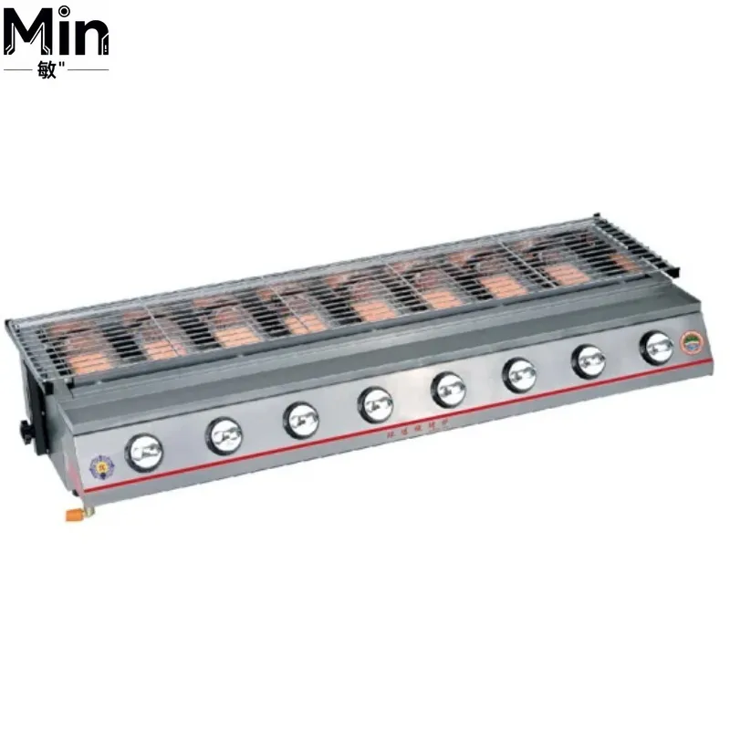 Stainless Steel Propane BBQ Grill Outdoor Portable Barbecue Grill for Backyard Garden Patio Camping Picnic Cooking