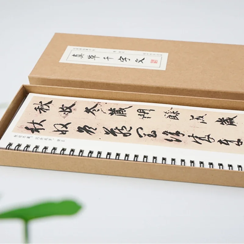 Inscription Copybook Chinese Famous the Thousand Characters Calligraphie Book Chinese Cursive Script Calligraphie Brush Copybook