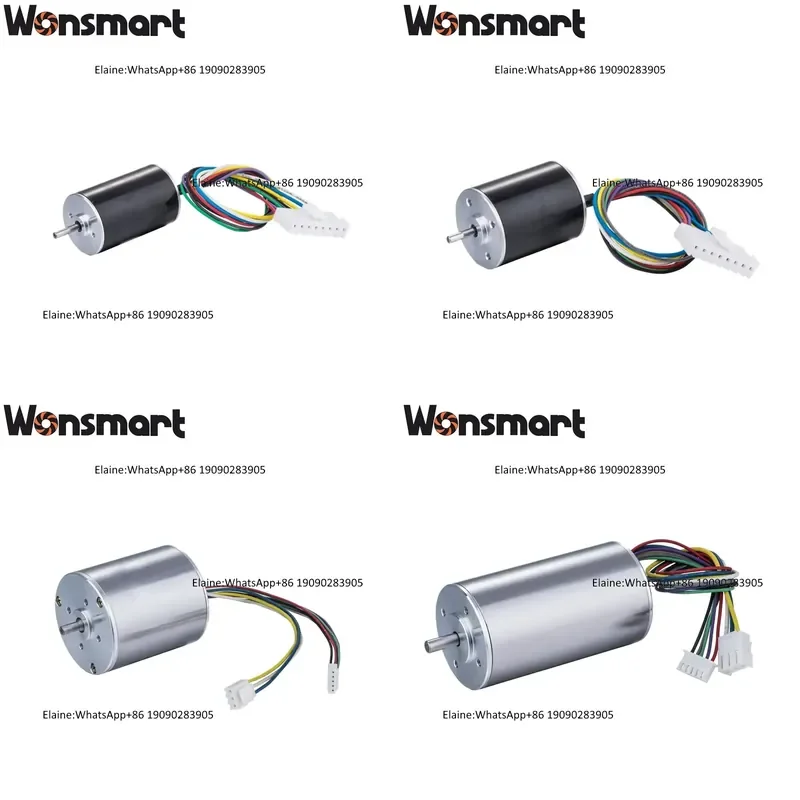 10000rpm 48v Brushless Dc Motor