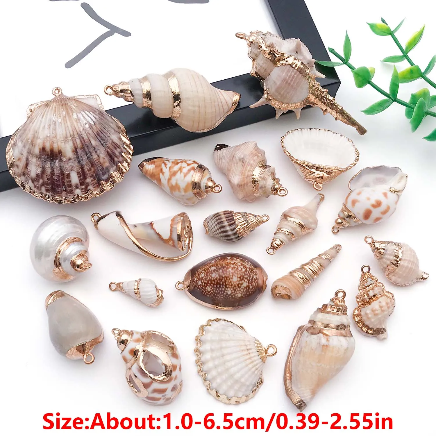 5pcs Natural Seashell Charms Beach Conch Pendants for DIY Bracelets Necklaces Earrings Jewelry Making Accessories