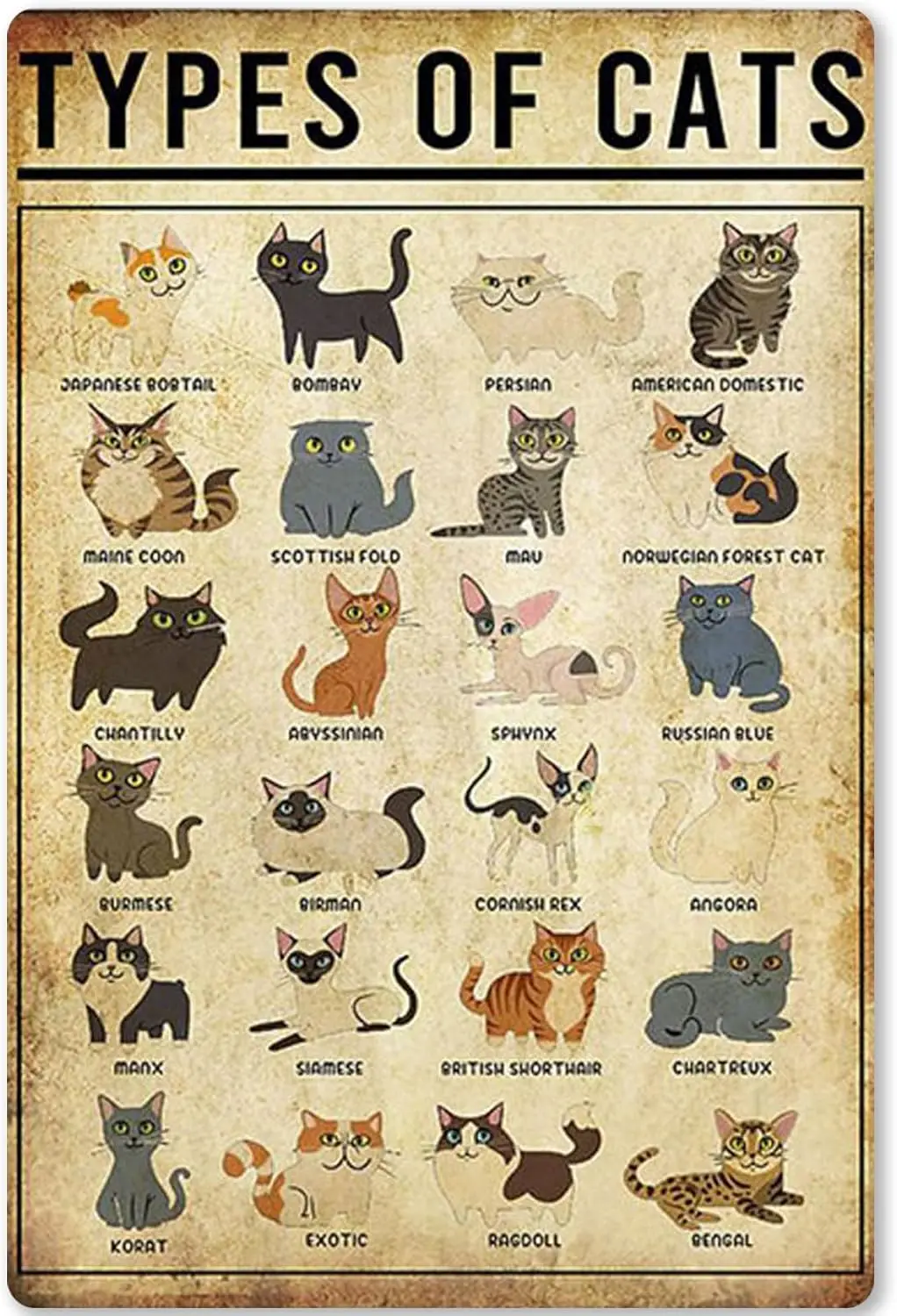 1x,Types Of Cats Metal Tin Signs Cats Knowledge Retro Poster Infographic Educational Charts Wall Plaque Decor For Home Classroom